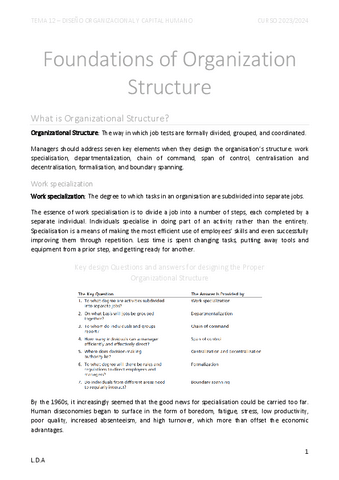 Tema-12-Diseno-Organizacional-y-Capital-Humano.pdf