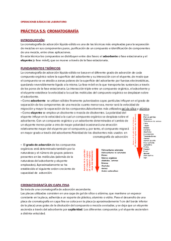 PRACTICA-5.5-CROMATOGRAFIA.pdf