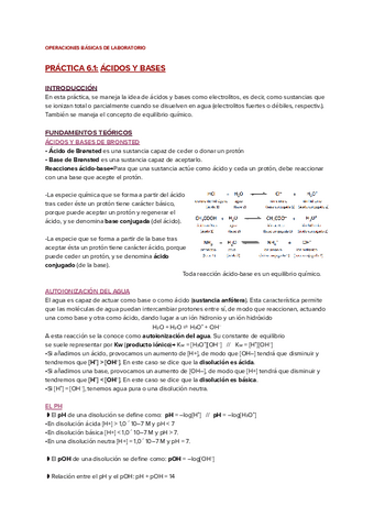 PRACTICA-6.1-ACIDOS-Y-BASES.pdf