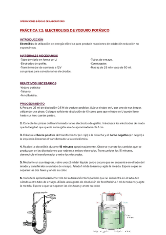PRACTICA-7.2-ELECTROLISIS-DE-YODURO-POTASICO.pdf