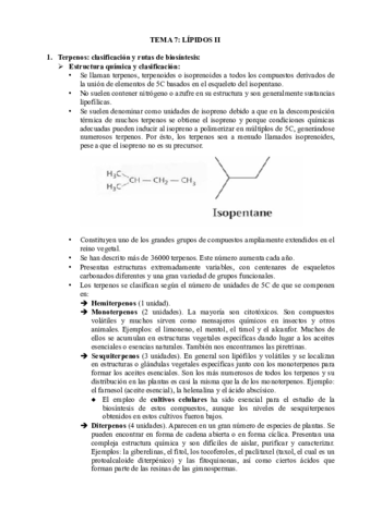 Tema7.pdf