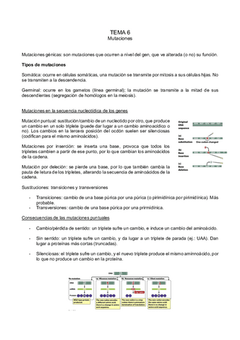 tema-6.pdf