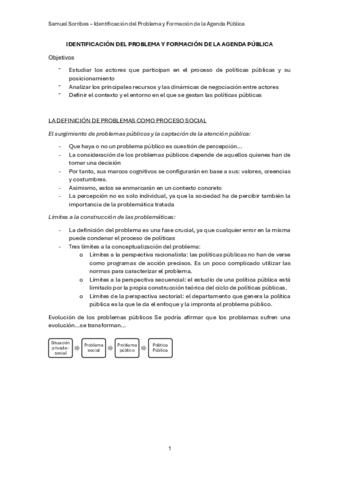 Identificacion-del-Problema-y-Formacion-de-la-Agenda-Publica.pdf
