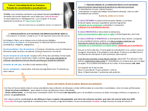 tema 5 consoliradicón fracturas.pdf