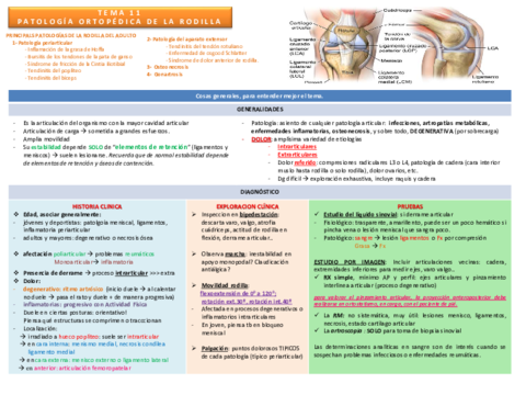 TEMA 11 Patología de rodilla.pdf