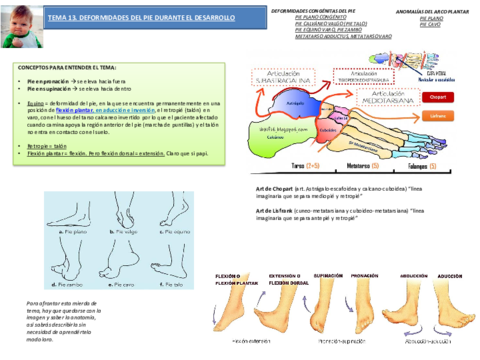 Tema 13 Deformidades del pie durante el desarrollo- patología del niño.pdf