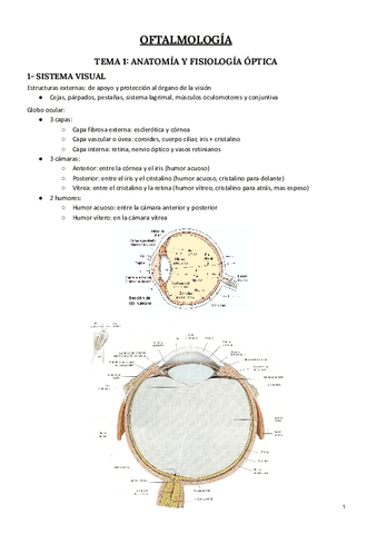 OFTALMOLOGIA.pdf