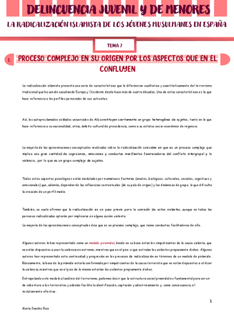 TEMA-7-MENORES-PENAL.pdf