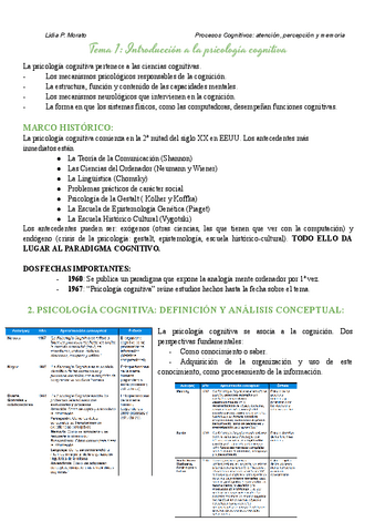 Temario-completo-Procesos-cognitivos.pdf
