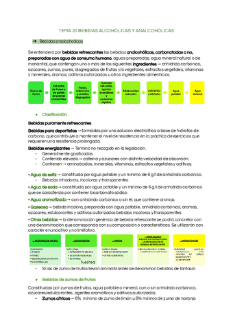 Tema-20-bebidas-analcoholicas-alcoholicas.pdf