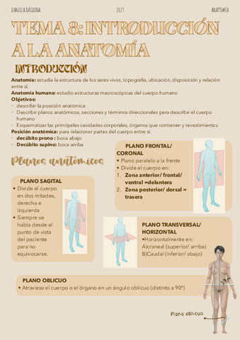 Tema-8.-Introduccion-a-la-anatomia.pdf