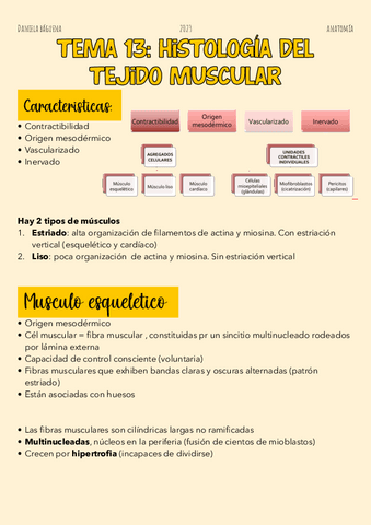 Tema-13.-Tejido-muscular.pdf