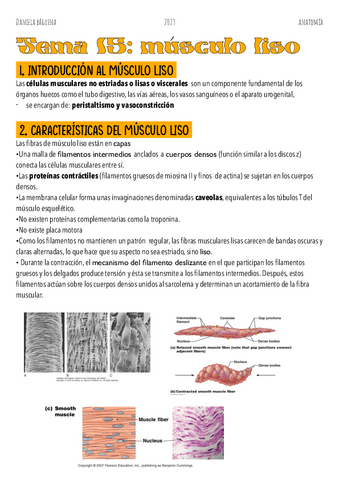 Tema-15.-Musculo-liso.pdf