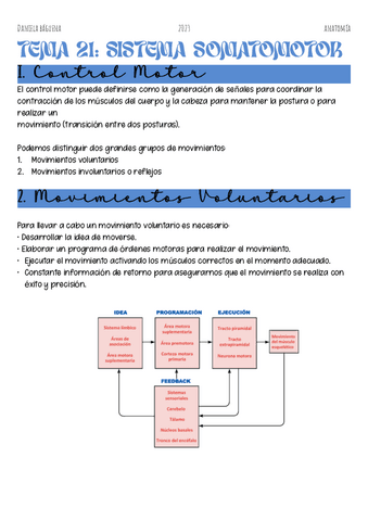 Tema-21.-Sistema-somamotor.pdf