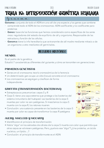 Tema-10.-Aspectos-generales-sobre-genetica-humana.pdf