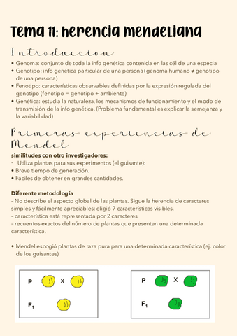 Tema-11.-Herencia-mendeliana.pdf