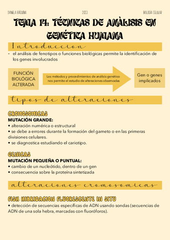 Tema-14.-Tecnicas-de-analisis-en-genetica-humana.pdf