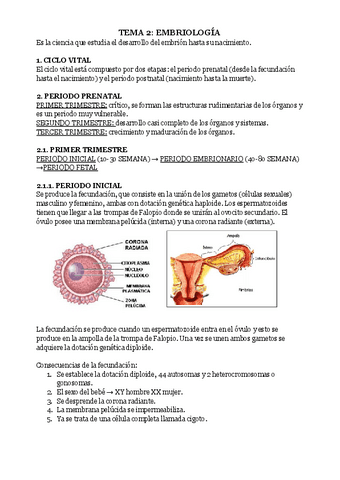 TEMA-2-EMBRIOLOGIA.pdf