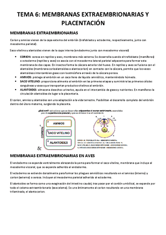 TEMA-6-MEMBRANAS-EXTRAEMBRIONARIAS-Y-PLACENTACION.pdf