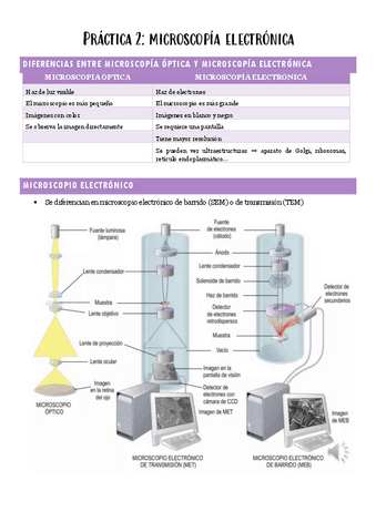 Practica 2 Citologia Microscopia Electronica Y Procesamiento De
