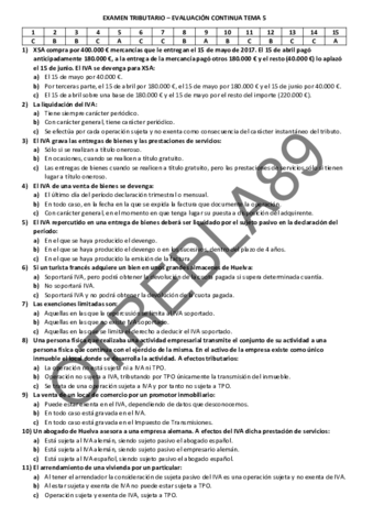 Evaluación Continua IVA - 2017-2018 Pablo.pdf