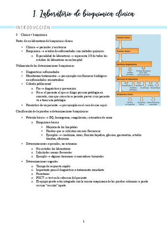 bioquimica-clinica-temas-1-11.pdf