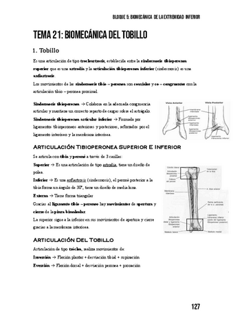 Tema-21-Biomecanica-Del-Tobillo.pdf