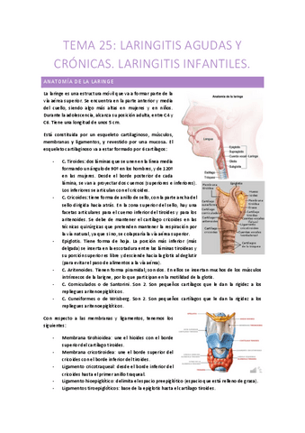 25-LARINGITIS-AGUDAS-Y-CRONICAS.-LARINGITIS-INFANTILES.pdf