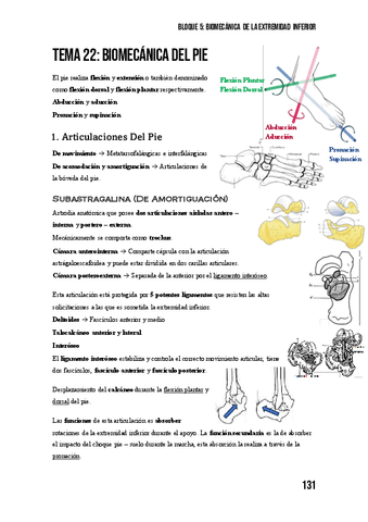 Tema-22-Biomecanica-Del-Pie.pdf