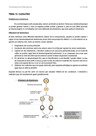 TR-Tema-15-Clonatge.pdf