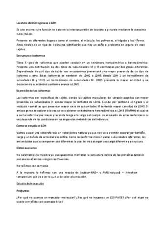 Labo Integrado II Resumen.pdf