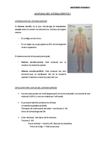 Anatomia-Humana-Sistema-nervioso-I.pdf