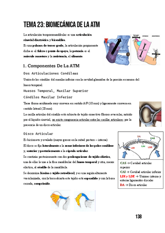 Tema-23-Biomecanica-De-La-ATM.pdf