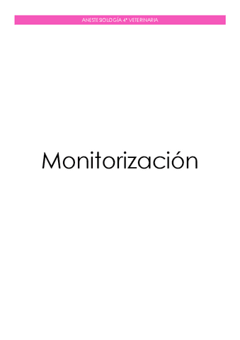 Monitorizacion.pdf