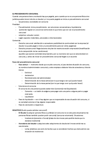EL-PROCEDIMIENTO-CONCURSAL.pdf