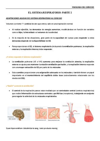 Fisiologia-de-lexercici-Sistema-respiratori-II.pdf