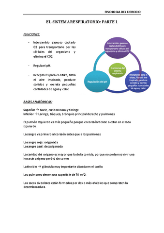 Fisiologia-de-lexercici-Sistema-respiratori-I.pdf