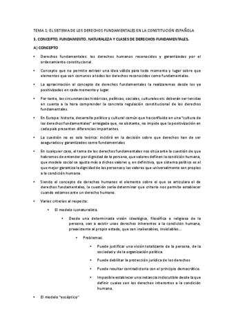 Temario-Promocion-y-Garantia-de-los-derechos-y-libertades.pdf
