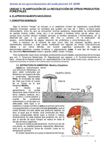 GAF-Tema-2.pdf