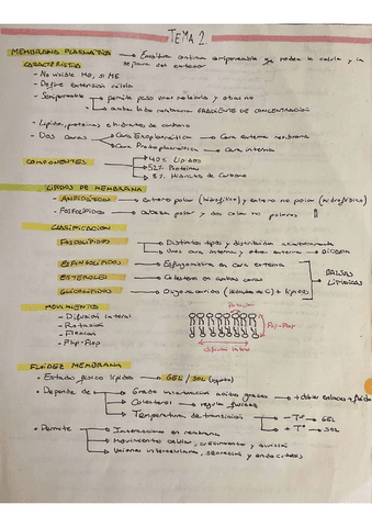 TEMA-2-BIOLOGIA-CELULAR.pdf