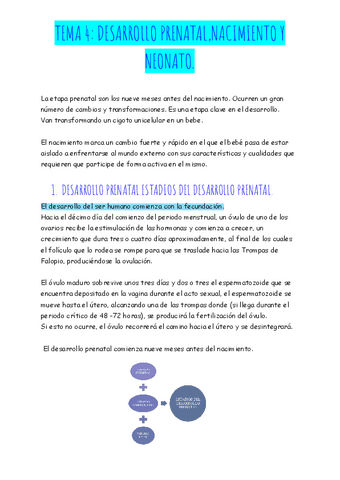 TEMA-4-DESARROLLO-PRENATAL-NACIMIENTO-Y-NEONATO.pdf