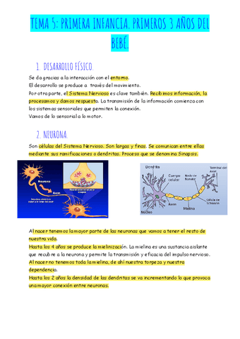 TEMA-5-PRIMERA-INFANCIA.-PRIMEROS-3-ANOS-DEL-BEBE..pdf