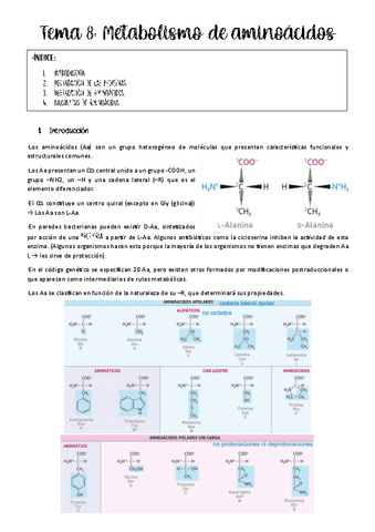 Tema-8-metabolismo.pdf