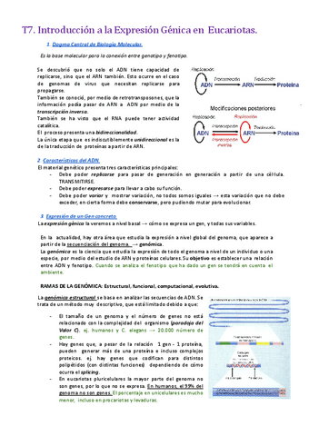 Tema-7.-Introduccion-a-la-Expresion-Genica-en-Eucariotas..pdf