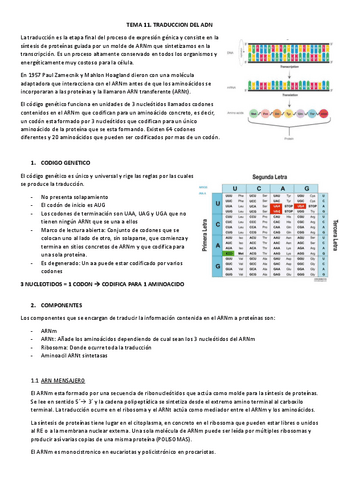 TEMA-11-PROCESOS-III.pdf