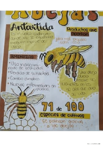Las-Abejas.pdf