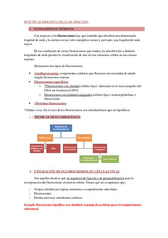 PRACTICAS-BIOLOGIA-CELULAR-APLICADA.pdf