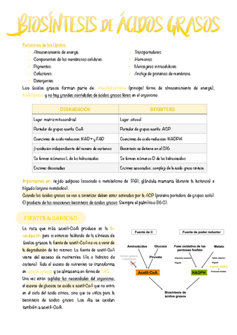 9.-Biosintesis-de-acidos-grasos.pdf