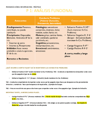 P-1-INFANTO-ANALISIS-FUNCIONAL.pdf