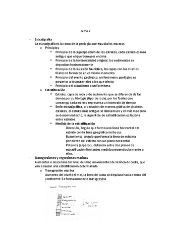 Tema-7-Estratigrafia.pdf